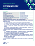 System capacity grants' completion report template