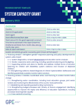 System capacity grants' progress report template